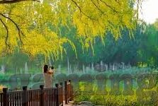 世界杯小组抽签结果-世界杯小组抽签结果，足球盛宴的序章