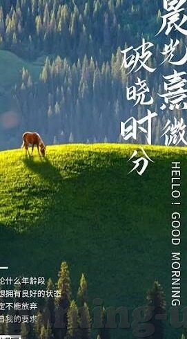 星空体育在线登录-星空体育在线登录，现代生活的新选项